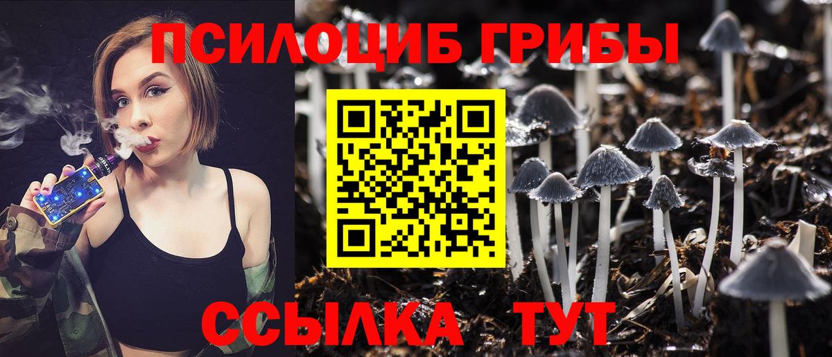 Псилоцибиновые грибы ЛСД  Вход с VPN  Гуково  Псилоцибиновые грибы Psilocybe 